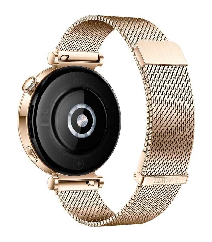 Huawei Watch GT4 41mm (Aurora-B19M), oro